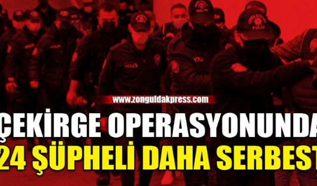 Çekirge operasyonunda 24 zanlı daha serbest...