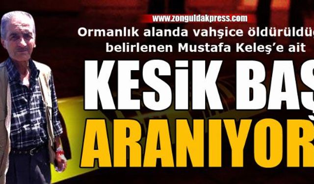 Jandarma, yaşlı adamın kesilen başını arıyor!