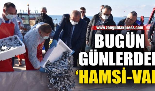 Kdz. Ereğli Hamsi Festivali coşkusunu yaşıyor