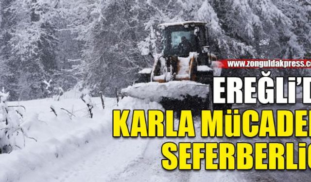 Ereğli'de karla mücadele seferberliği