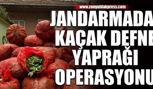 İzinsiz defne yaprağı operasyonu...