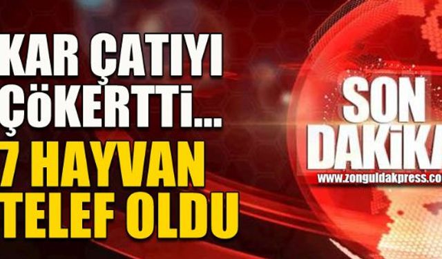 Kar çatıyı çökertti: 7 hayvan telef oldu