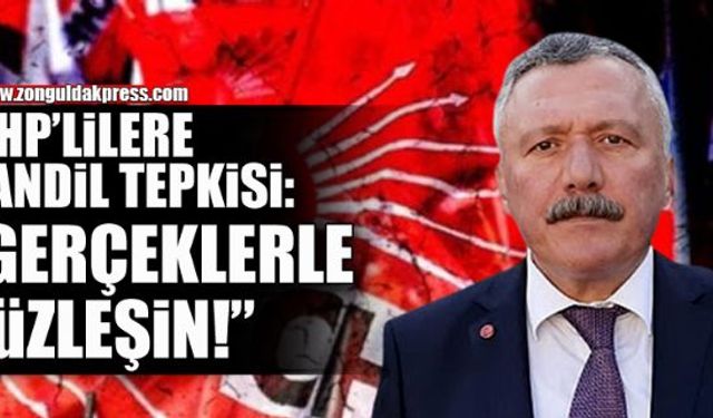 Pulat'tan MHP'ye kandil tepkisi