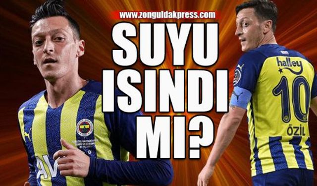 Fenerbahçe'de yıldızı bir türlü parlamadı