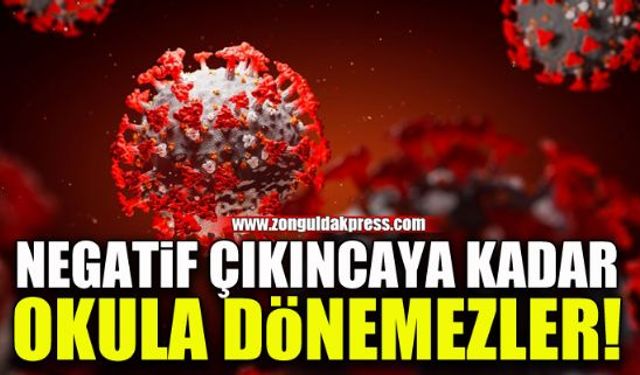 Bakan Özer'den PCR testi açıklaması