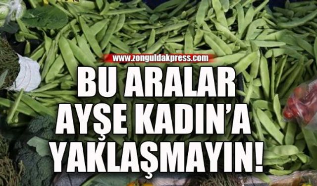 Ayşe kadın fasulyesinde fiyat rekoru...