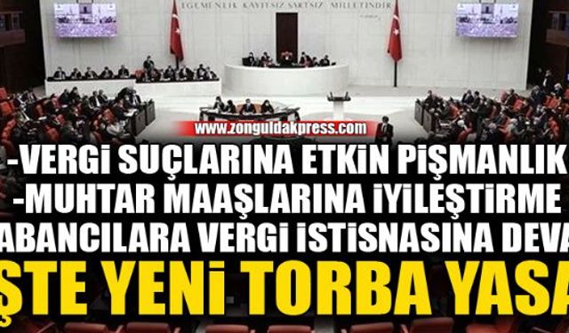 Torba yasa, Meclis'ten geçti