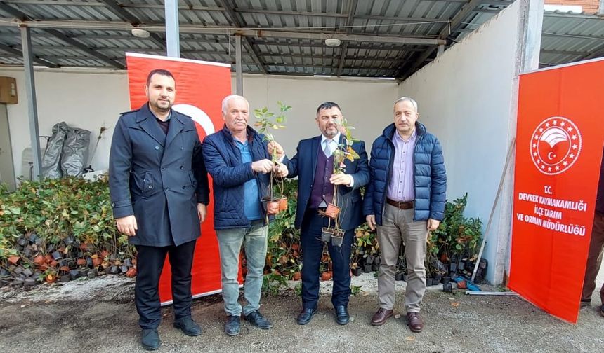 Zonguldak'ta aronya fidanı dağıtımı