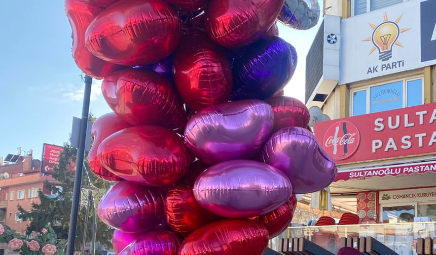 Bakanlıktan uçan balonlara yasak!