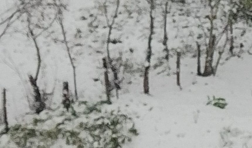 Zonguldak'ın köyleri beyaza büründü