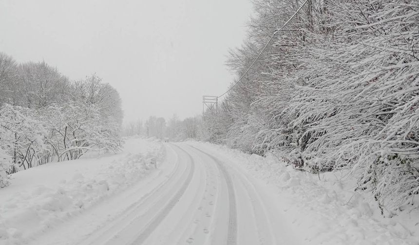 133 köy yolu ulaşıma kapalı