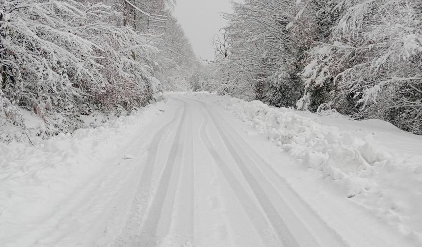Kar geçit vermedi: 198 köy yolu ulaşıma kapalı