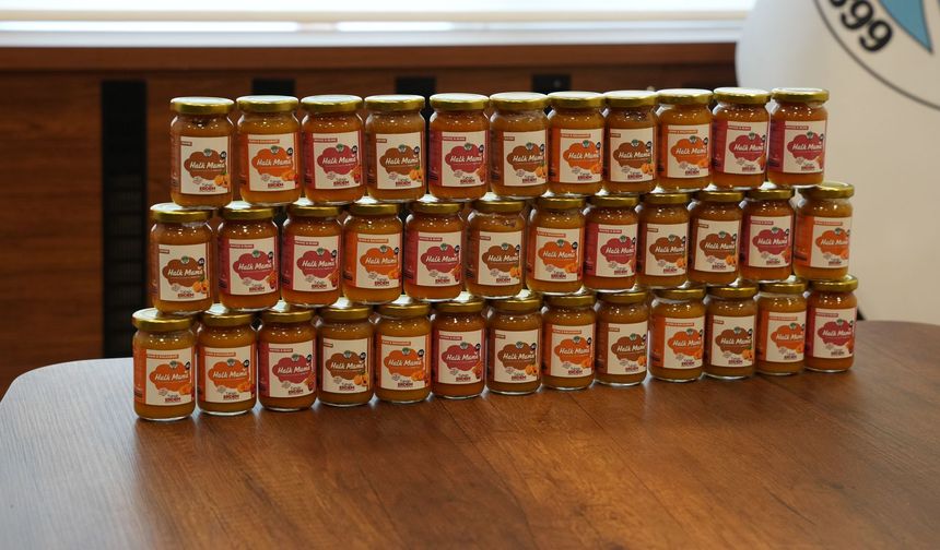 Halk Mama Projesi başladı