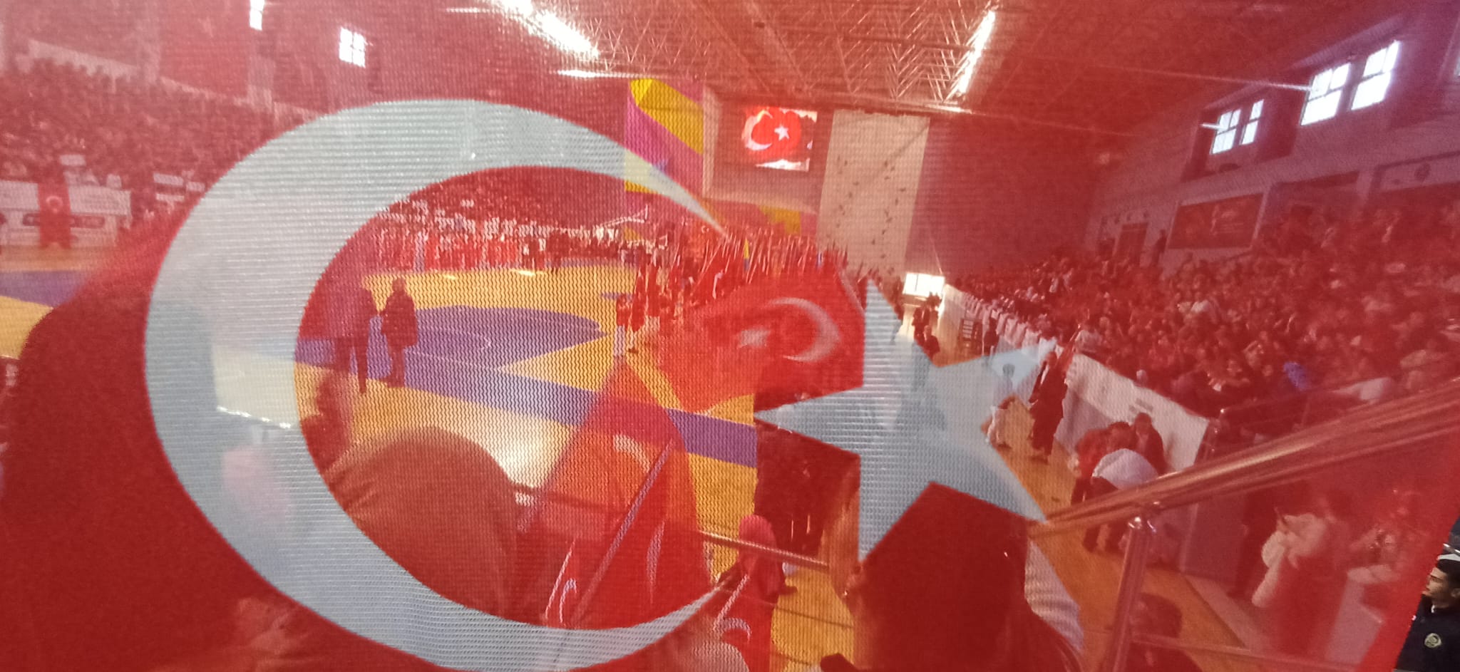 2106F0B7 9503 4Fc9 A47C 90278B7Dba1A