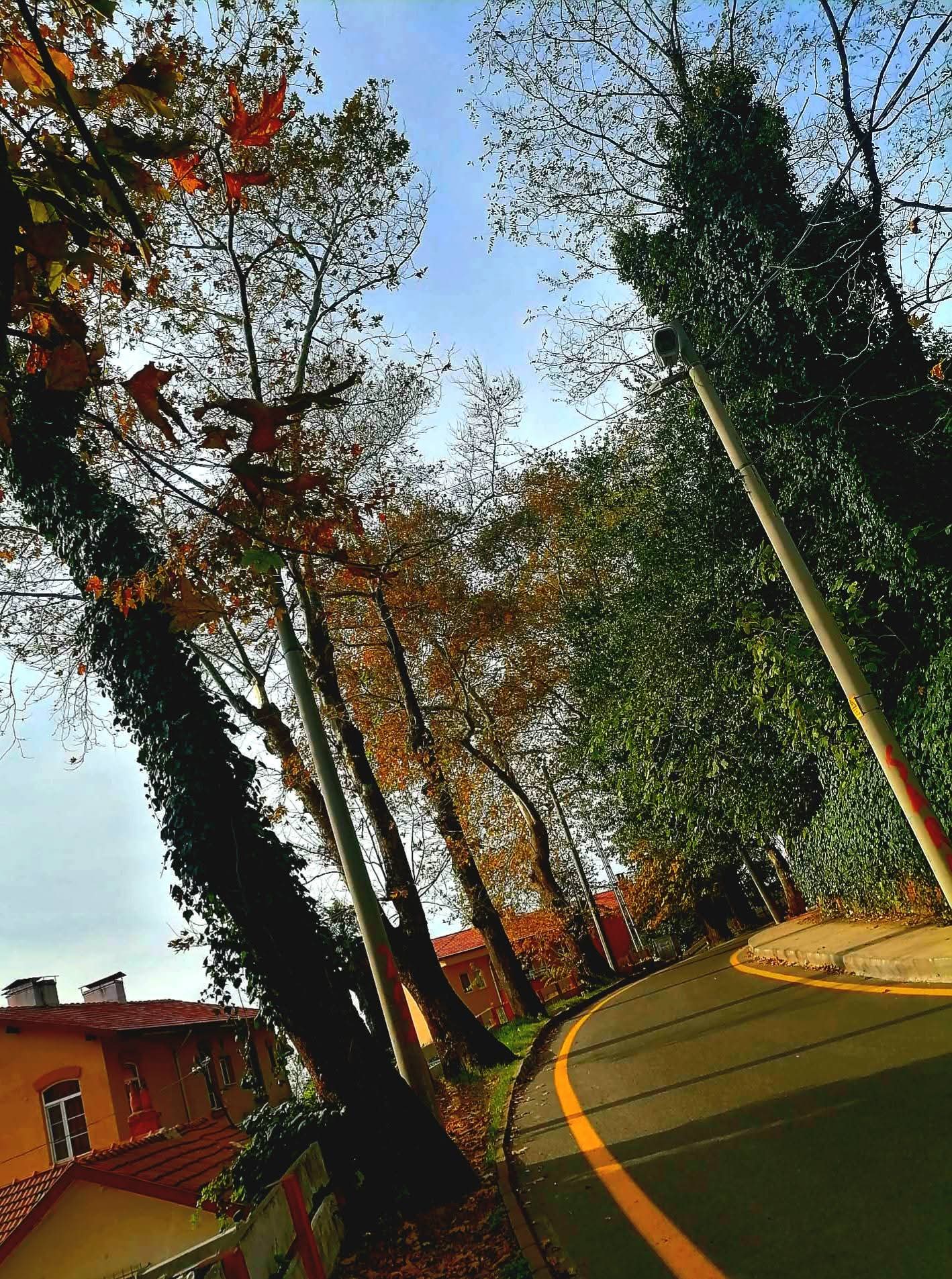 F B I M G 1763369471219