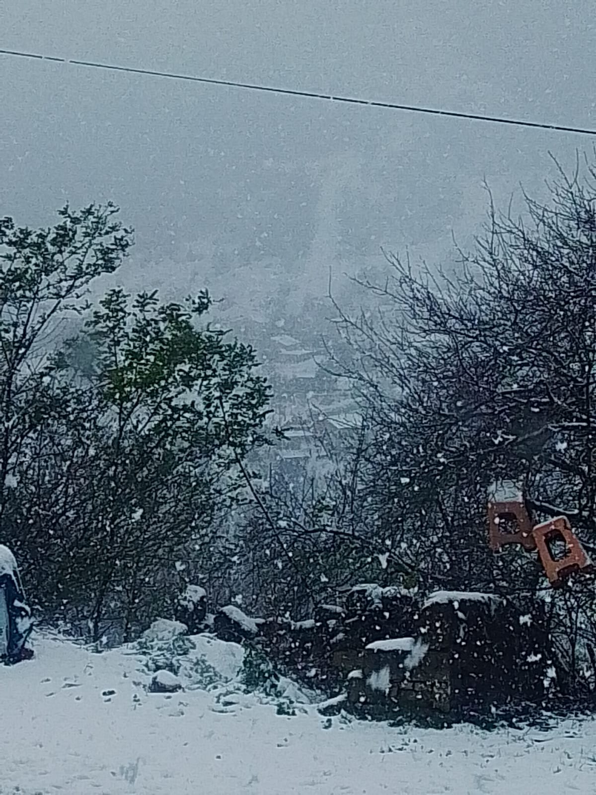 I M G 20251227 W A0003