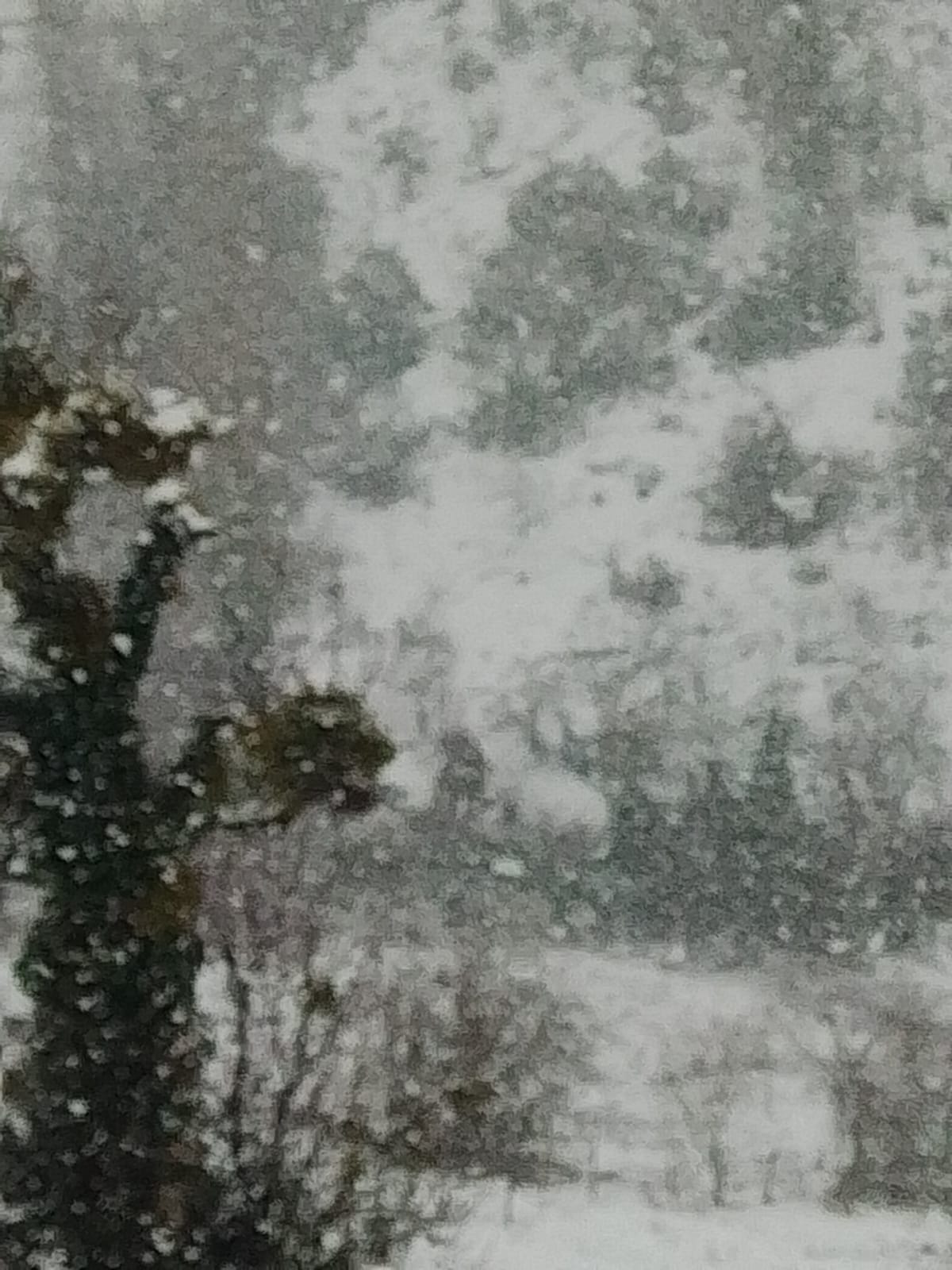 I M G 20251227 W A0005(1)