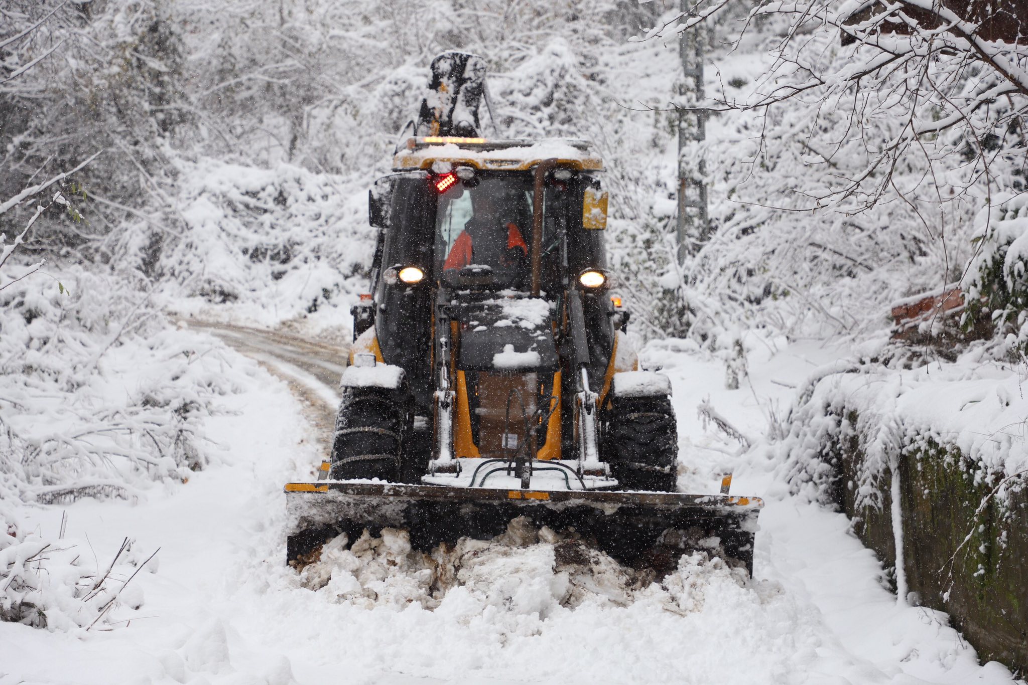 606358973 1284725440351734 3271000696289068425 N