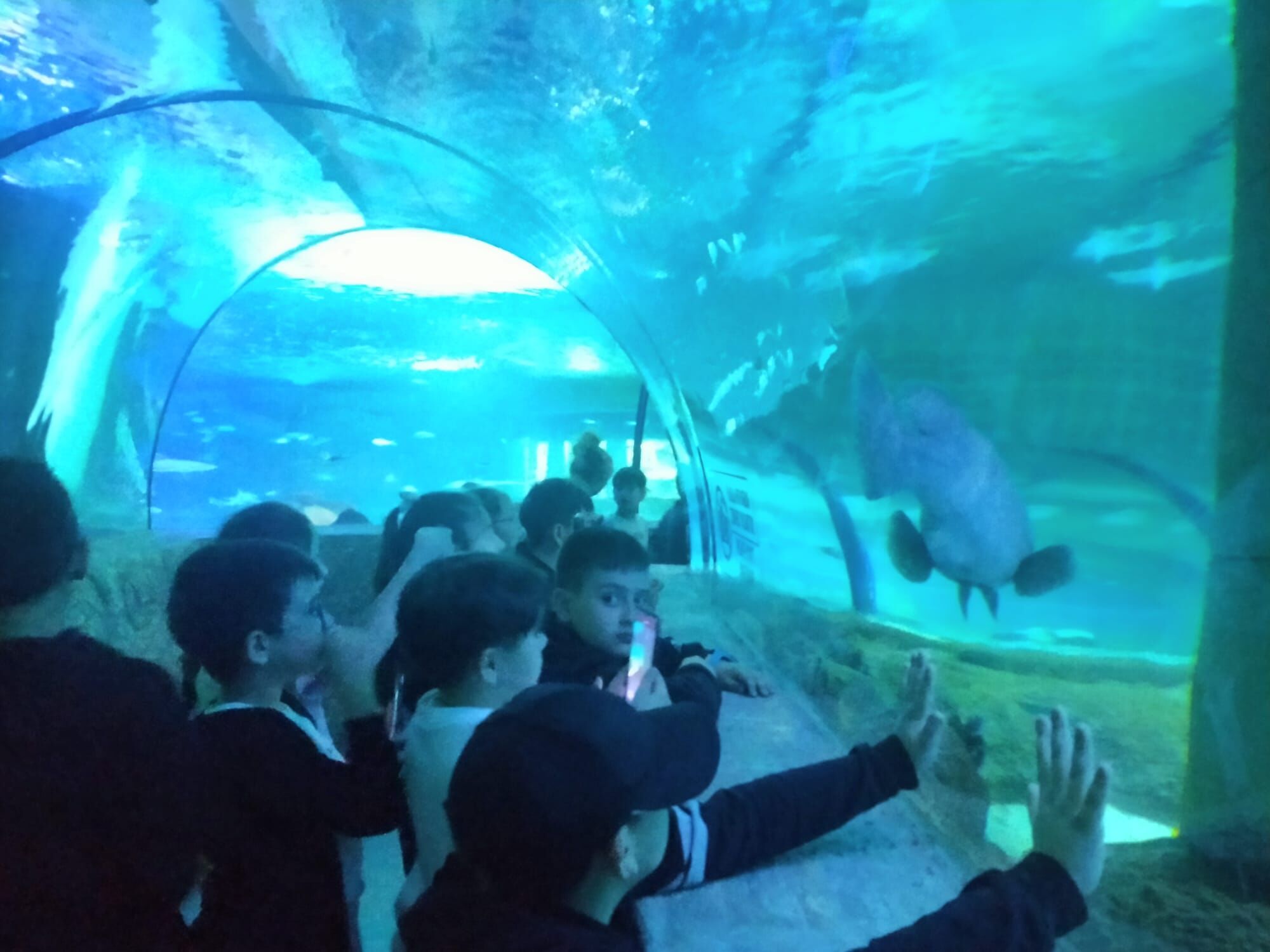 B8755859 2265 4E8F 8B6B 008431D9Fc0C