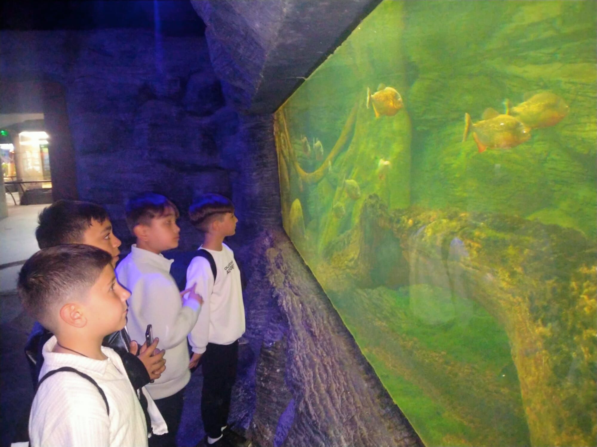 C0B81011 1Cbb 4Ed7 B9B7 Ba36C26242Ca