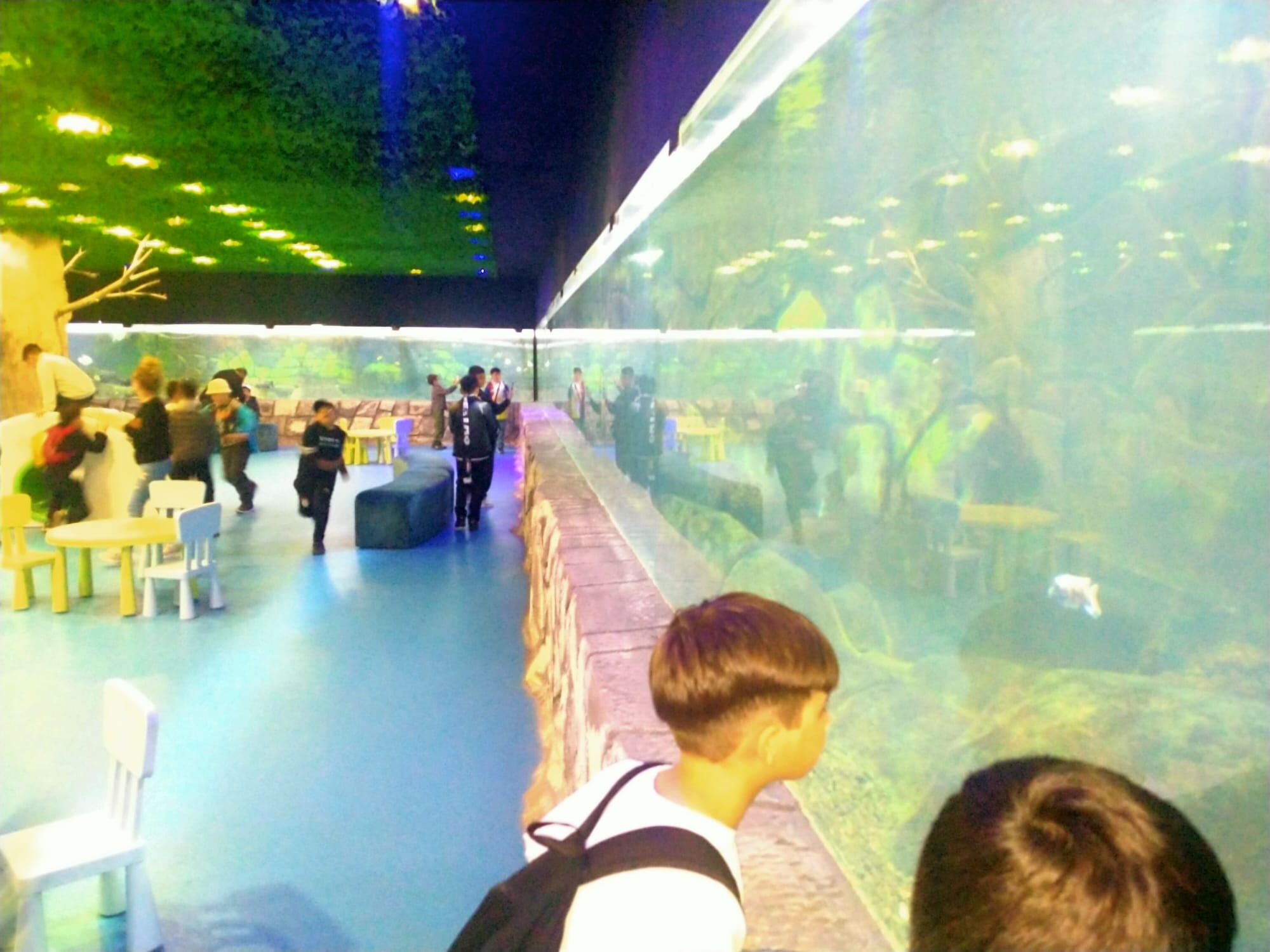 C6Df2F6C 1D38 4De9 8783 3953776B9Cb1