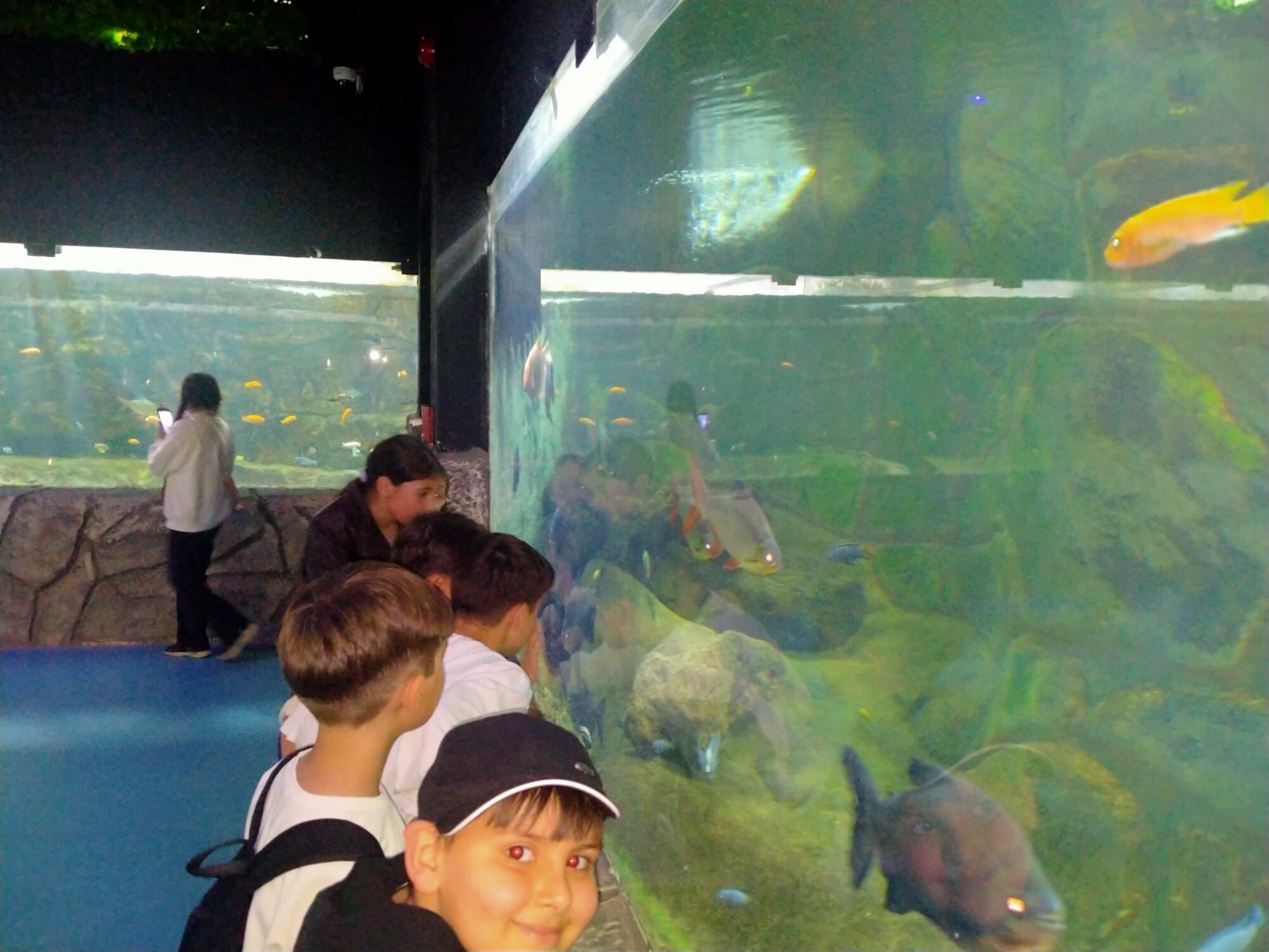 E51Ec5Be A070 493A 91A3 A8A733B460E8